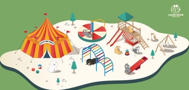 「喵」“金星双面猫”喵咪也会有阴阳脸？？