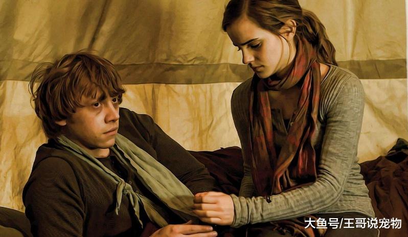 JK罗琳坦诚遗憾：没让哈利波特和赫敏在一起，他们才应该是一对