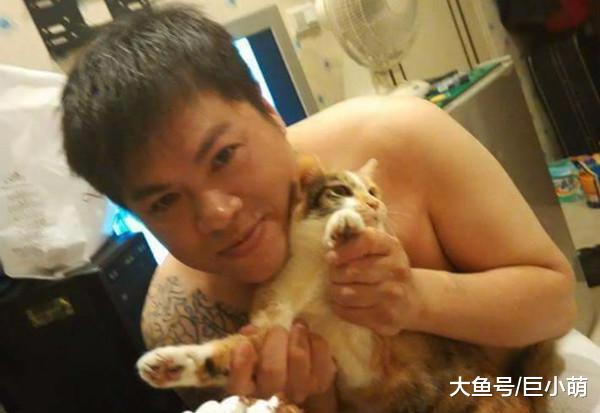 三花被退养三次，在被安乐死前遇到新主人，第一次见面就赖着不走