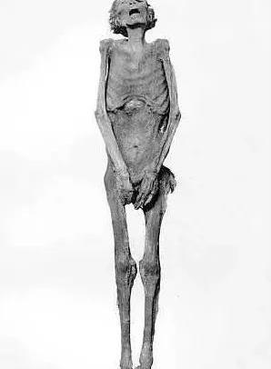 神秘木乃伊被发现时正发出“尖叫”，他的生前是否遭遇痛苦？