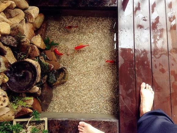 在阳台上砌个鱼池，成本只花200元，亲戚朋友们都眼红了