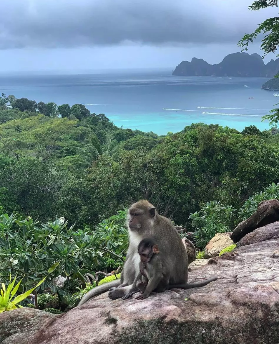 想在泰国生活，看看哪种签证适合您！
