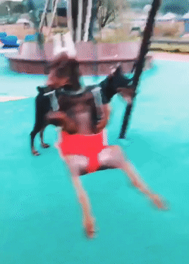 男子在公园跑步，远处看到小孩坐在秋千上，走近看后：怎么是条狗