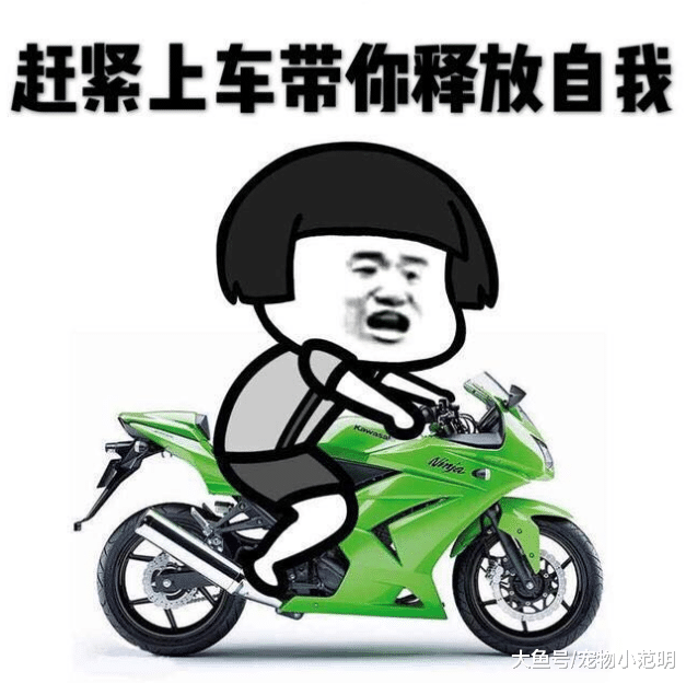 夏天到了，还要把自己包裹得严严实实吗？学会展示这三个部位，就没人敢说你土了！