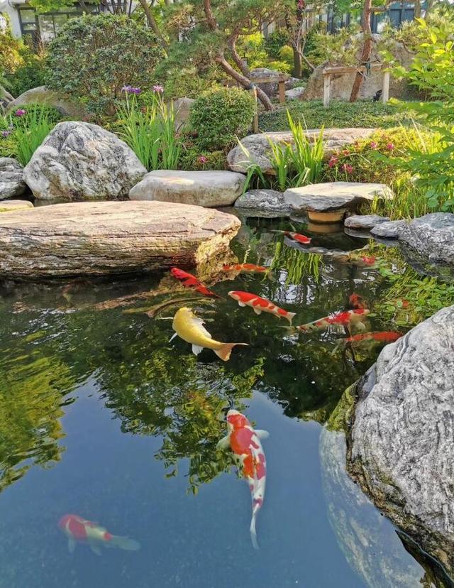 想有个带院子的房子，看花开叶落一辈子，让生活变成一件浪漫的事