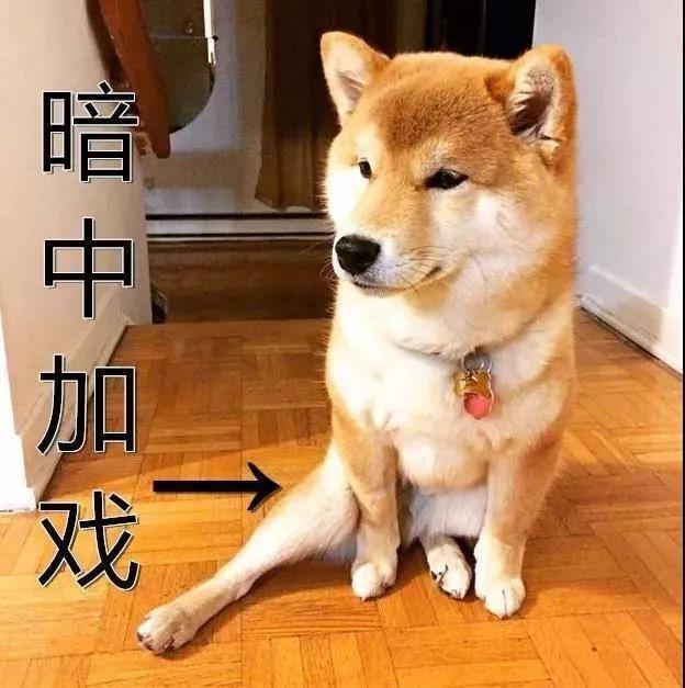 朋友讓我幫忙照顧狗，我立刻拒絕，狗狗這5點我搞不定！