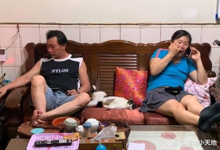 养猫后家中地位下降！她晒照片讨拍反被关心：你还健在？