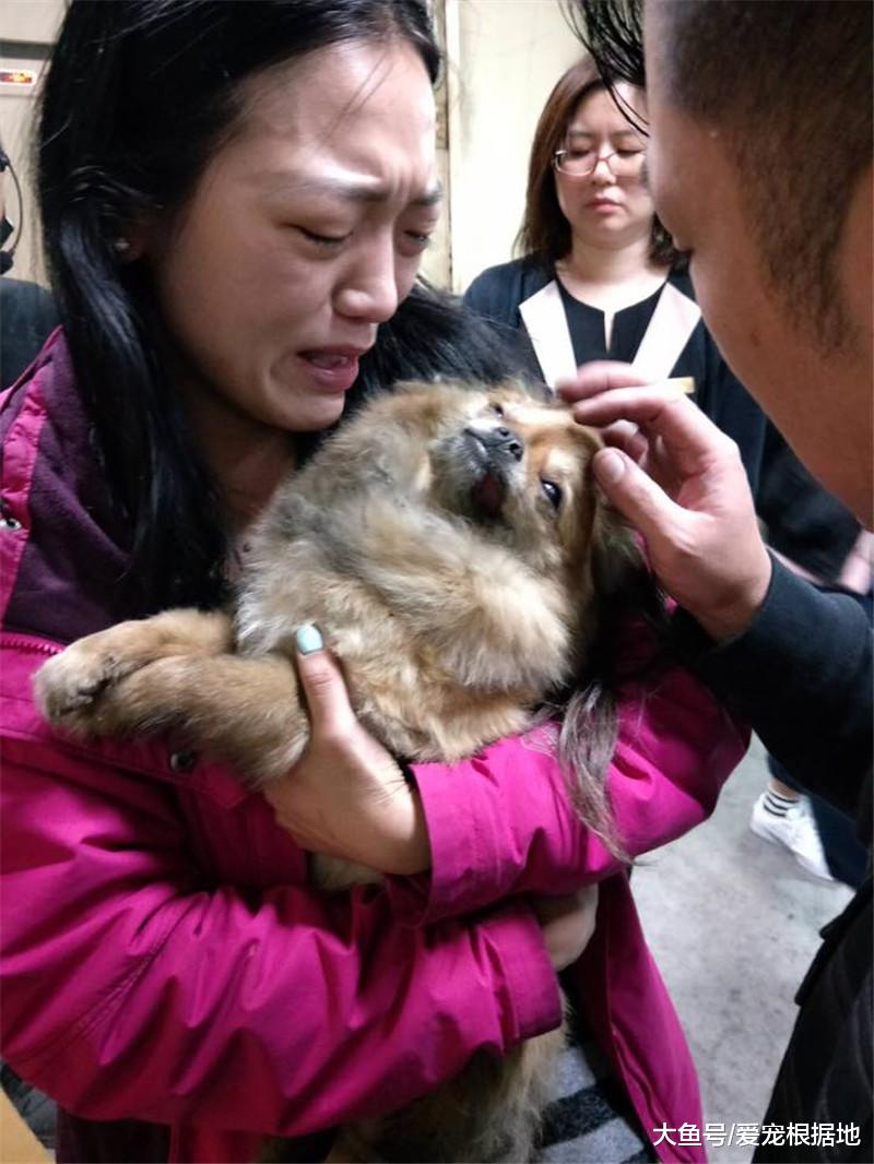 9只爱犬被突发火灾夺去生命，主人含泪发文提醒，用电安全很重要