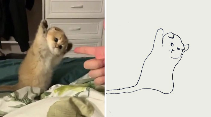 宠物的灵魂画家，本以为是青铜，没想到却是王者