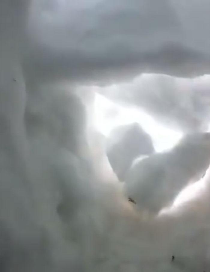 勇敢汪挖雪救人，探头那一刻太萌了，嗨，你还好吗？