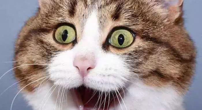 科幻脑洞里的2020年马上到来，慌张么？跟大咖一起跨年！