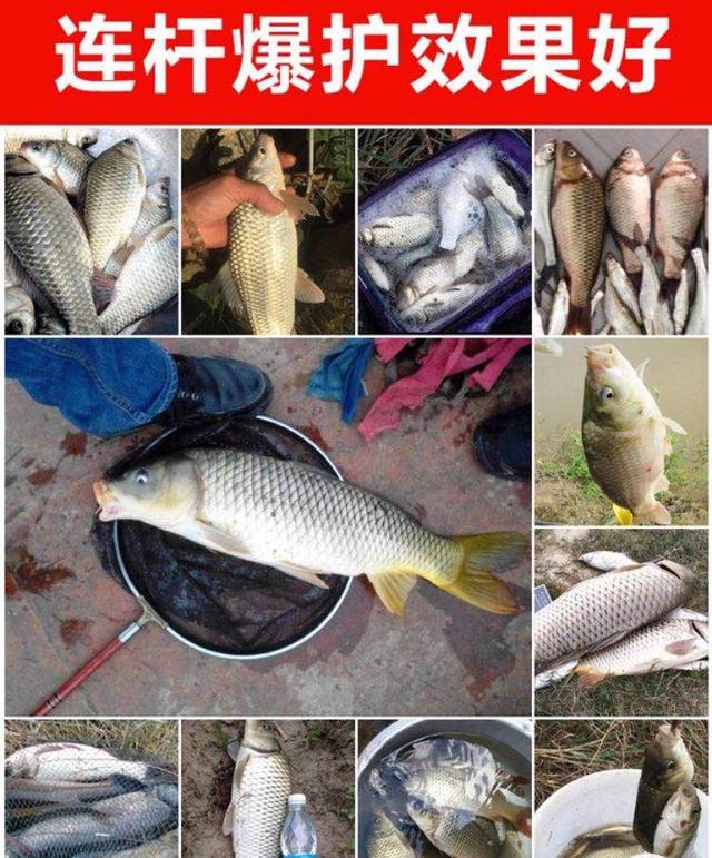 你还不知道？铅坠只要换换“地方”，咬钩率高到你怀疑人生