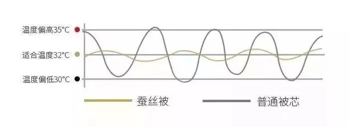 “棉花被”和“蚕丝被”哪个好？当初不懂，后悔我家买错 ……