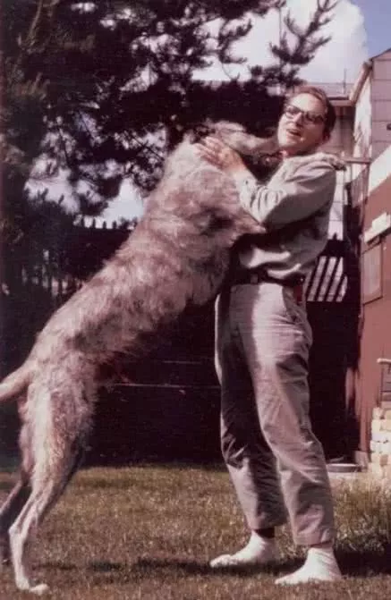 著名人类学家最后的遗愿：如果我的狗狗死去，请让它和我在一起……