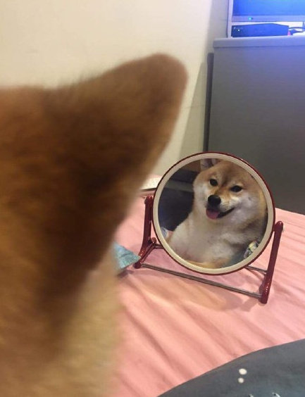 新晋两位奥斯卡影帝得主