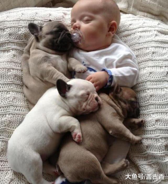 宝宝和三只小奶狗同一天出生，叼奶嘴熟睡时，内心都被萌化了！
