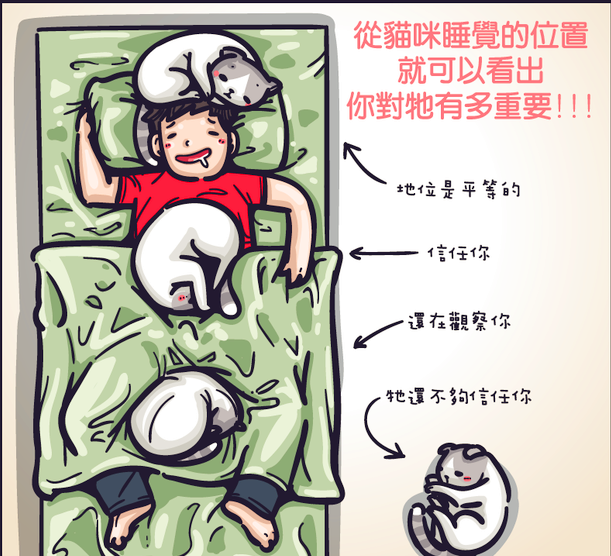 如果你家喵常做這幾個動作，那恭喜你，你家喵皇上十分信任且愛你