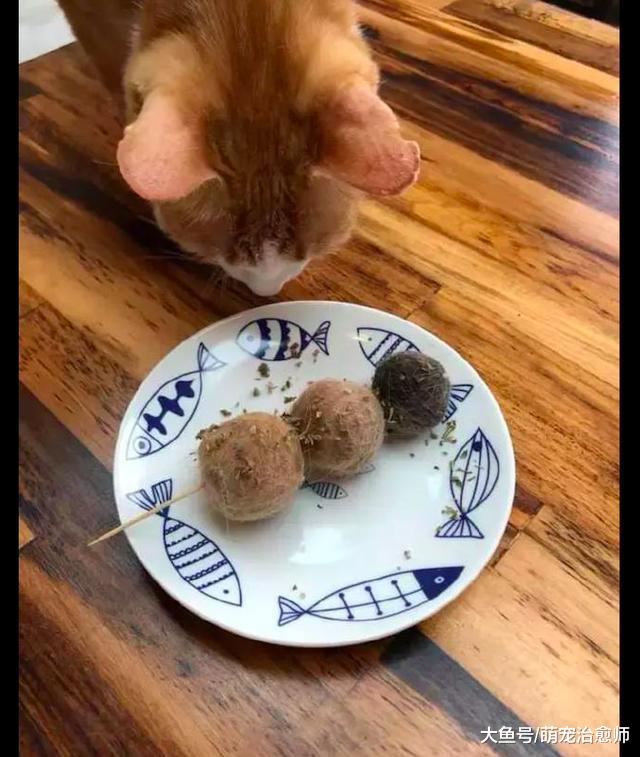 网友用猫咪掉下来的毛发，做成一串假肉丸，猫：你良心不会痛吗？