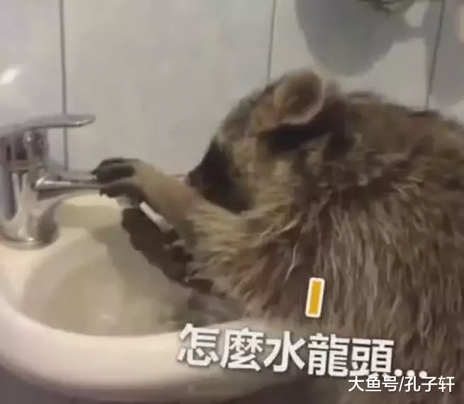 “完了！闯大祸了！” 小浣熊洗手不会关水龙头，水满了掉头就跑