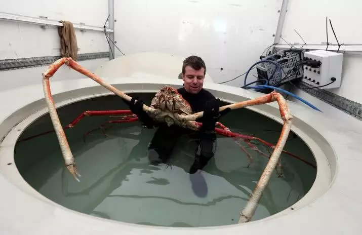 生活中永远“有惊喜”, 这些绝美的图片就是最好的证明