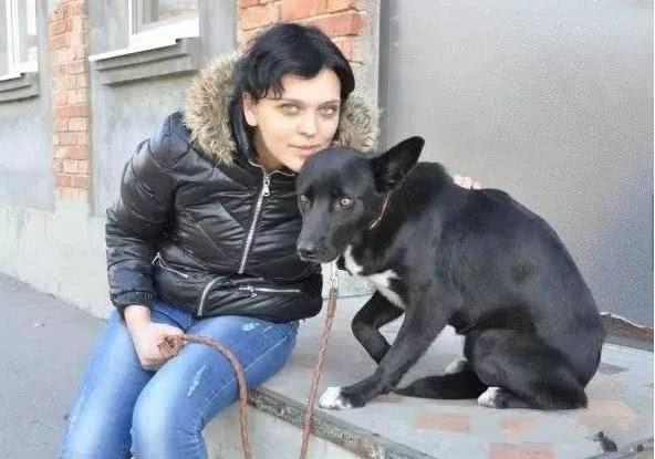 狗狗獨自行走300公里，原因竟是為了這個……