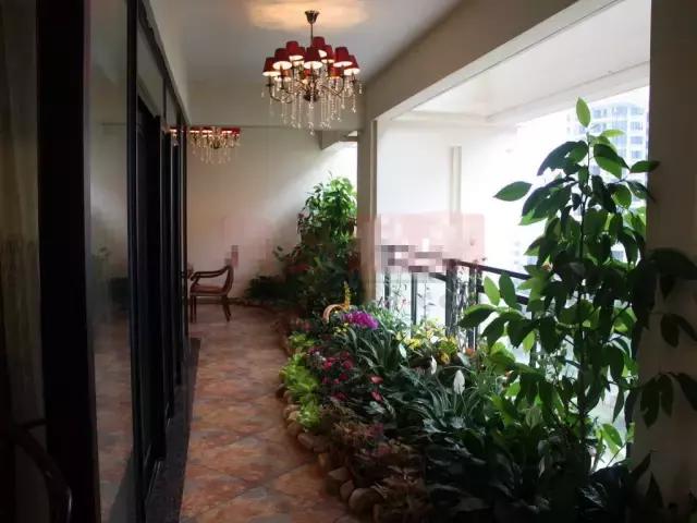 亲爱的老婆，阳台这么漂亮，我们家也装一个吧！