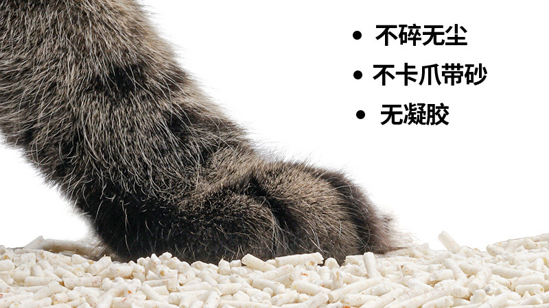 猫砂哪种最好用，水晶猫砂很方便，松木猫砂对喵有好处