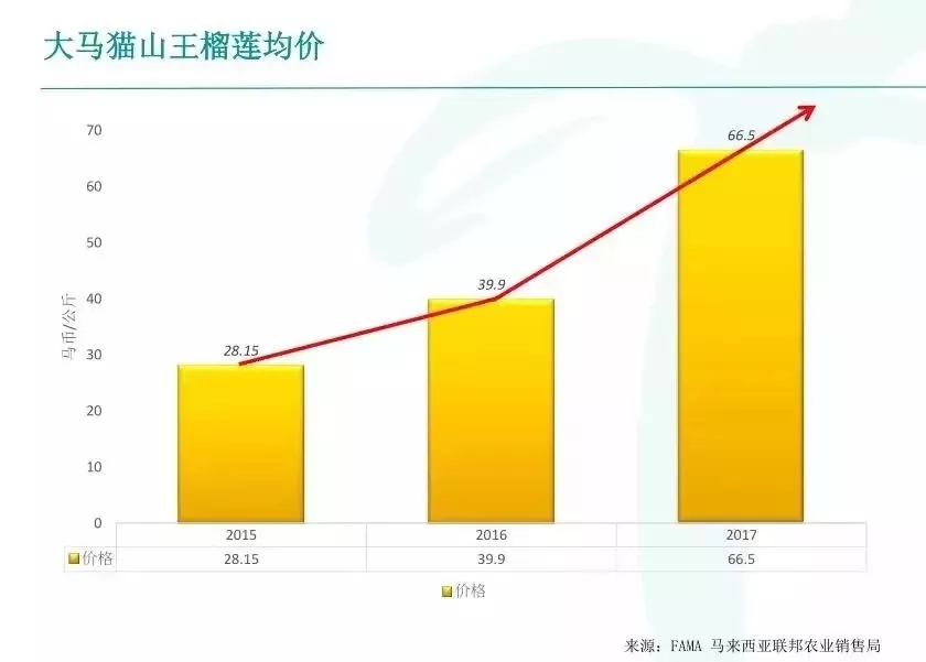 跟前任分手后，我爱上了它......