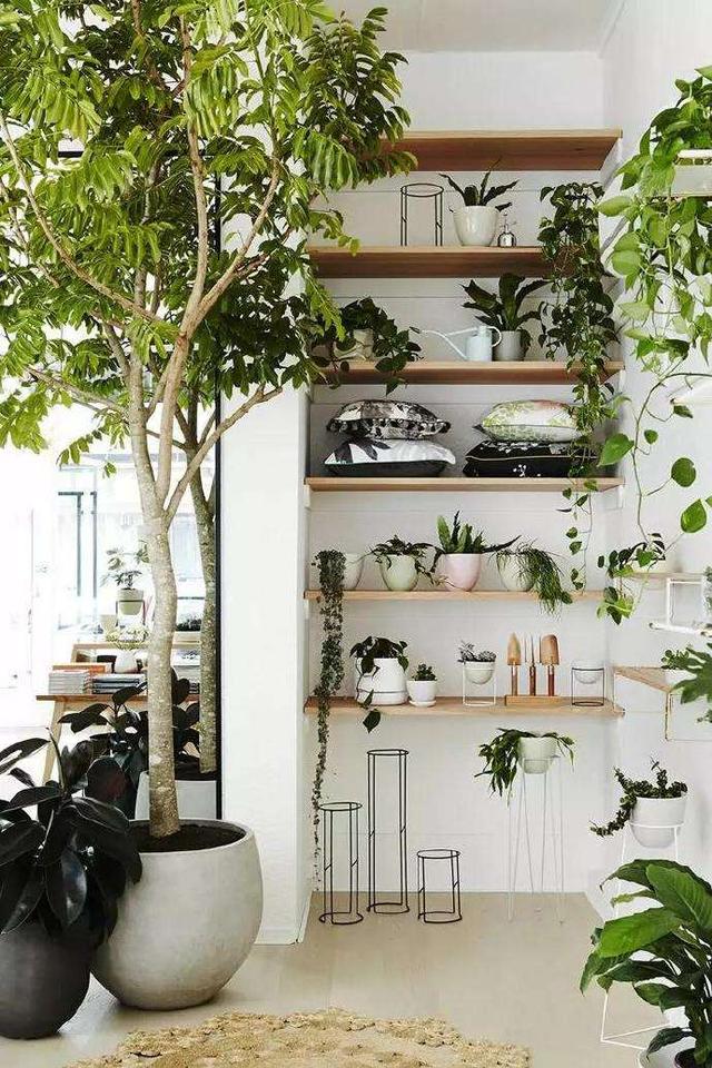 新房大门正对卫生间？5种设计帮你化解，家里运势更上一层楼