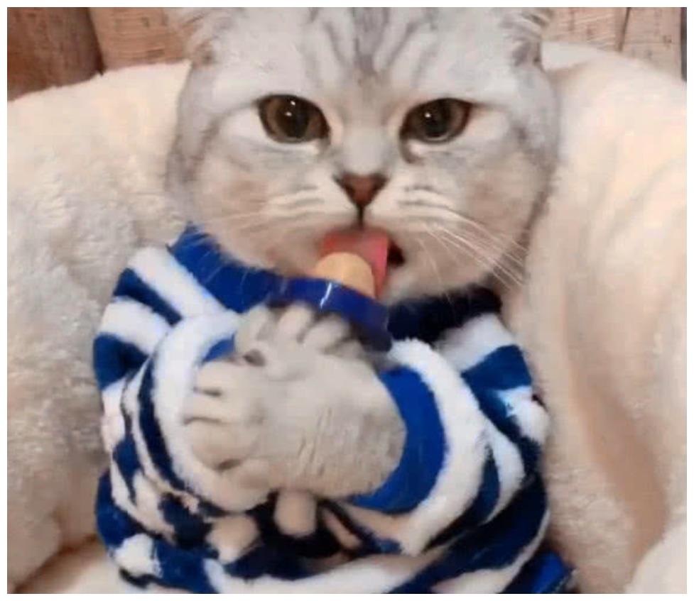 猫咪爱吃糖，偷偷摸摸的吃，网友：这货适合当糖果代言人
