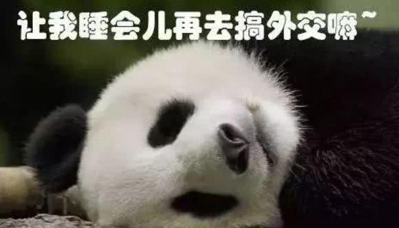 熊猫在抗日时期是什么处境？