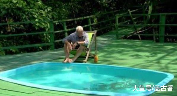 大爷饲养160条食人鱼，饿了一礼拜后，跳进水池里却让人意外