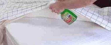 床上百万螨虫成窝？上海大妈只要一个小偏方，螨虫连根拔起！