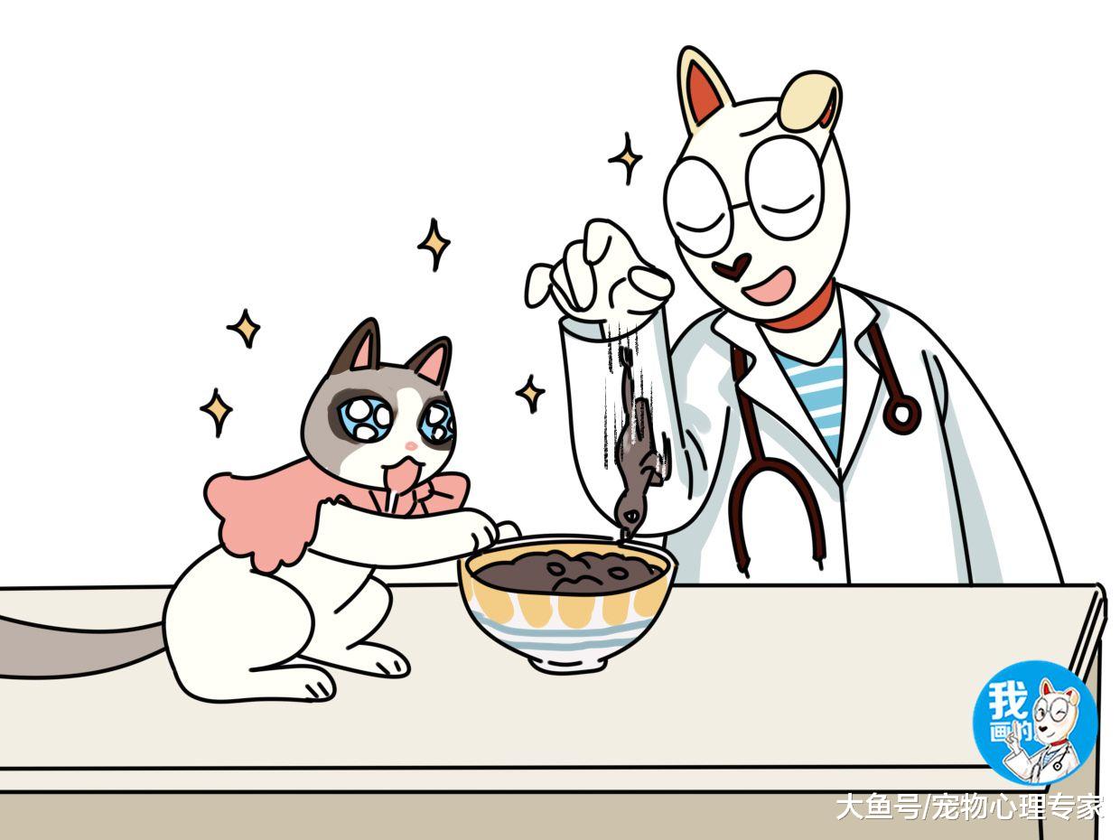 辟谣：猫咪挑食饿上几顿就好了？小心损伤身体，得不偿失