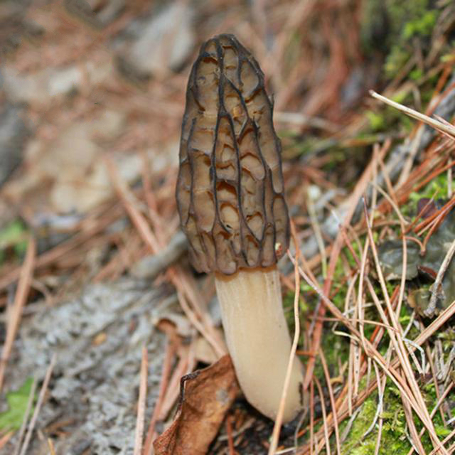 建议抽烟喝酒的男人：少喝酒别抽烟，多吃下面这些，健康益处多