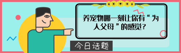 狗狗出门爱闹腾，稍不注意就会闯祸，宠主挑好绳很重要！