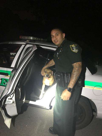 巡逻到一半，走失汪拦警车求助，暖心警察叔叔开车帮它找主人