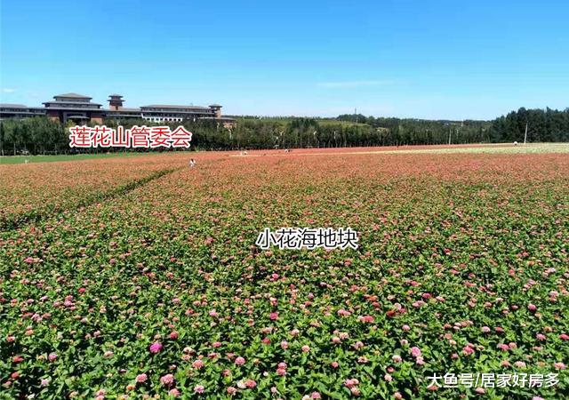 明年新盘抢先看，全国大房企齐发力