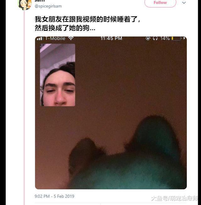 女友視頻聊天時睡著了，結果鏡頭前出現了她家的狗，表情很嫌棄！