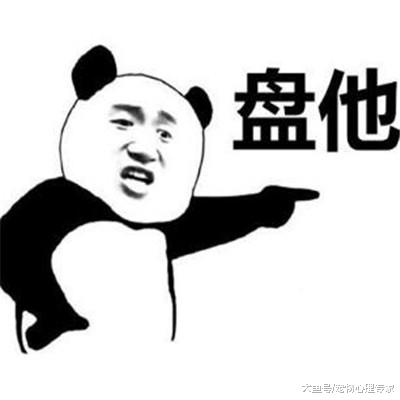 看见流浪狗在啃木头，女孩心中一酸：走，我带你回家