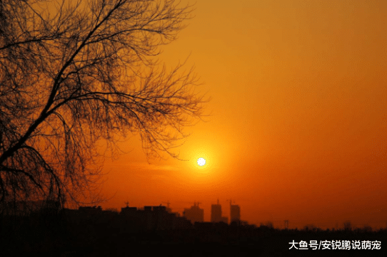 且行且珍惜，一位奔三男人对自己过去一年的情感总结，网友看后感慨万分