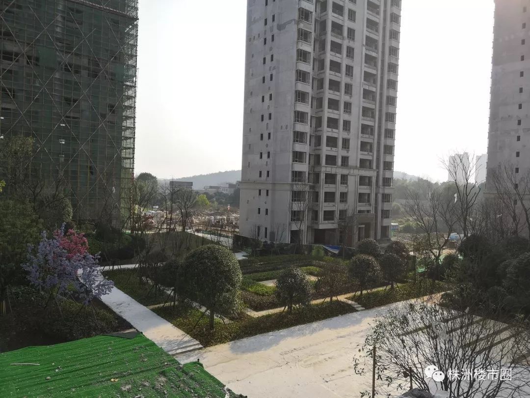 沉寂9年的株洲金山新城，2019即将爆发？