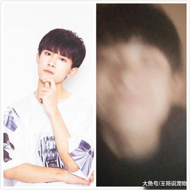 明星自拍堪比奇葩买家秀，网友：真的一眼看到老胡的照片要吓死！