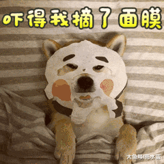 主人要假装要炖狗肉，狗狗竟然这样做，主人瞬间泪崩…