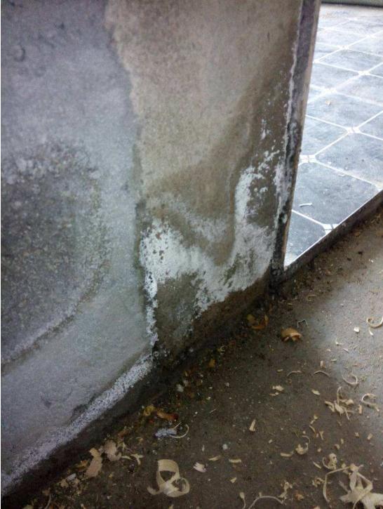 新房自带的防水有必要重做吗？多年老工头说出了答案，太有帮助了