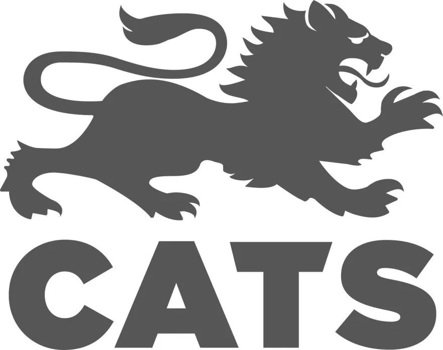 1100亿，2019中国投英清单曝光！