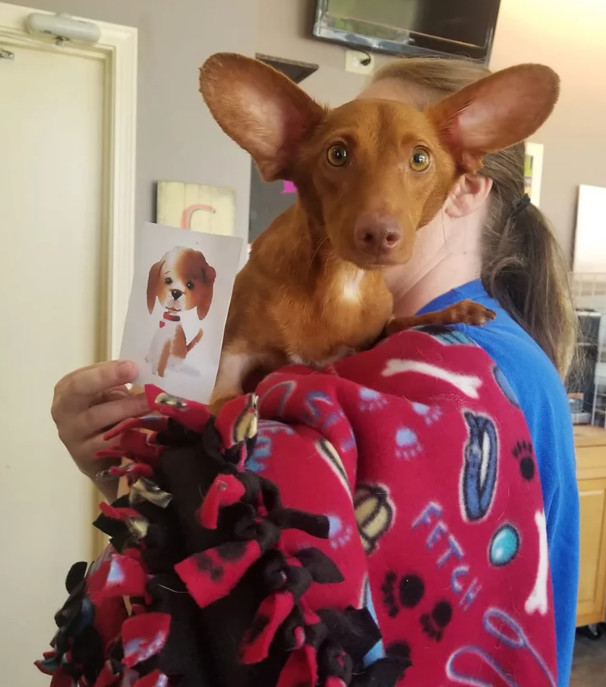 50岁妇女与其女儿双双被捕！警方：因她们恶意锯断了狗狗的后腿