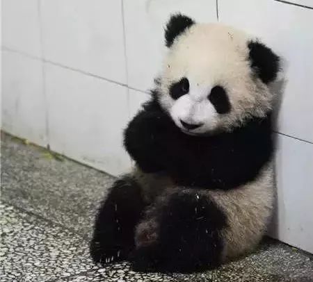 年终将至，有房的郑州人注意了！这件事情赶紧做！