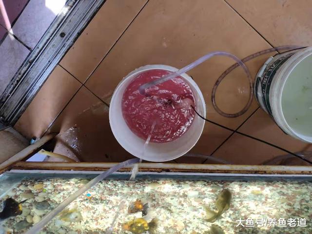 鱼缸上滤改底滤就这么简单？是的，即使不用钻眼其实也很简单