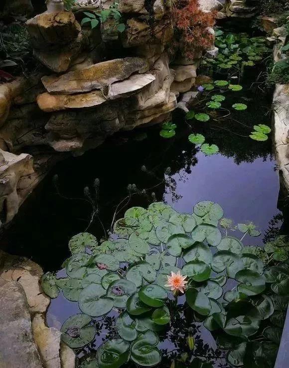 8萬塊錢在村子弄了這樣一個小院，值嗎？